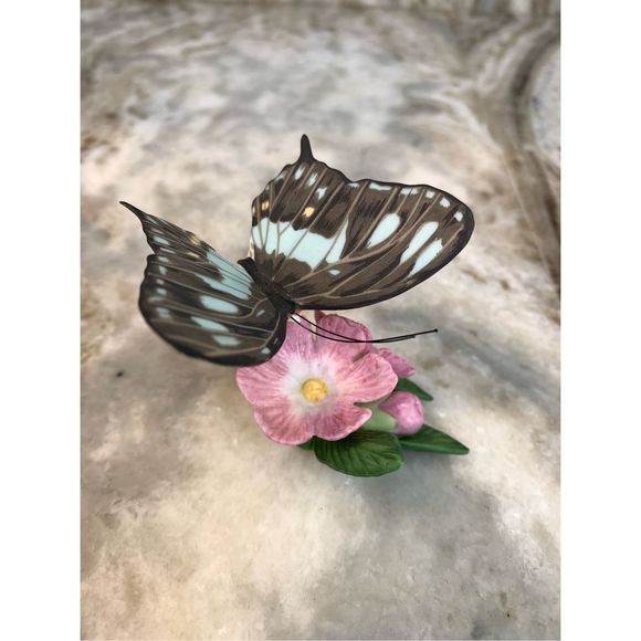 Franklin Mint Graphium Swallowtail Butterfly #vintage #collector #mothers day - Picture 1 of 4